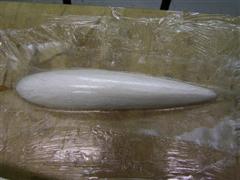 PICT1316.JPG